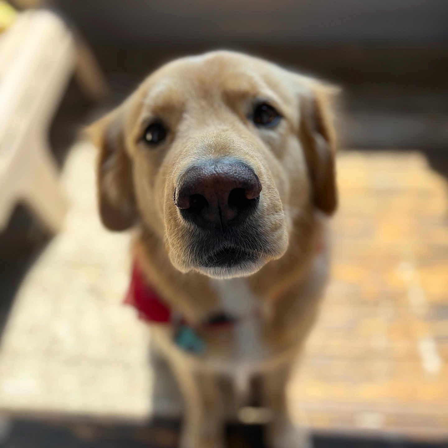 Max