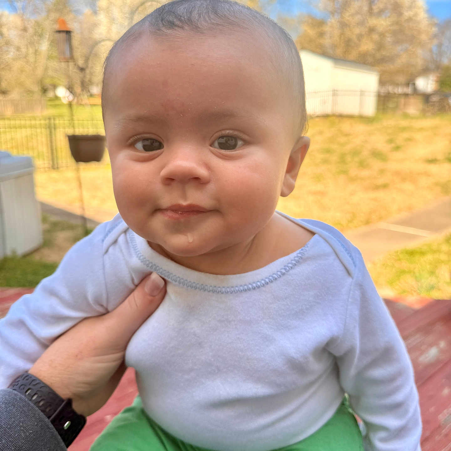 Jaxon is registered to the contest to win money with this photo: baby, bodypart, clothing, face, finger, grass, happy, head, nature, outdoors, pants, park, person, photography, plant, portrait, smile, t_shirt, tree, wristwatch