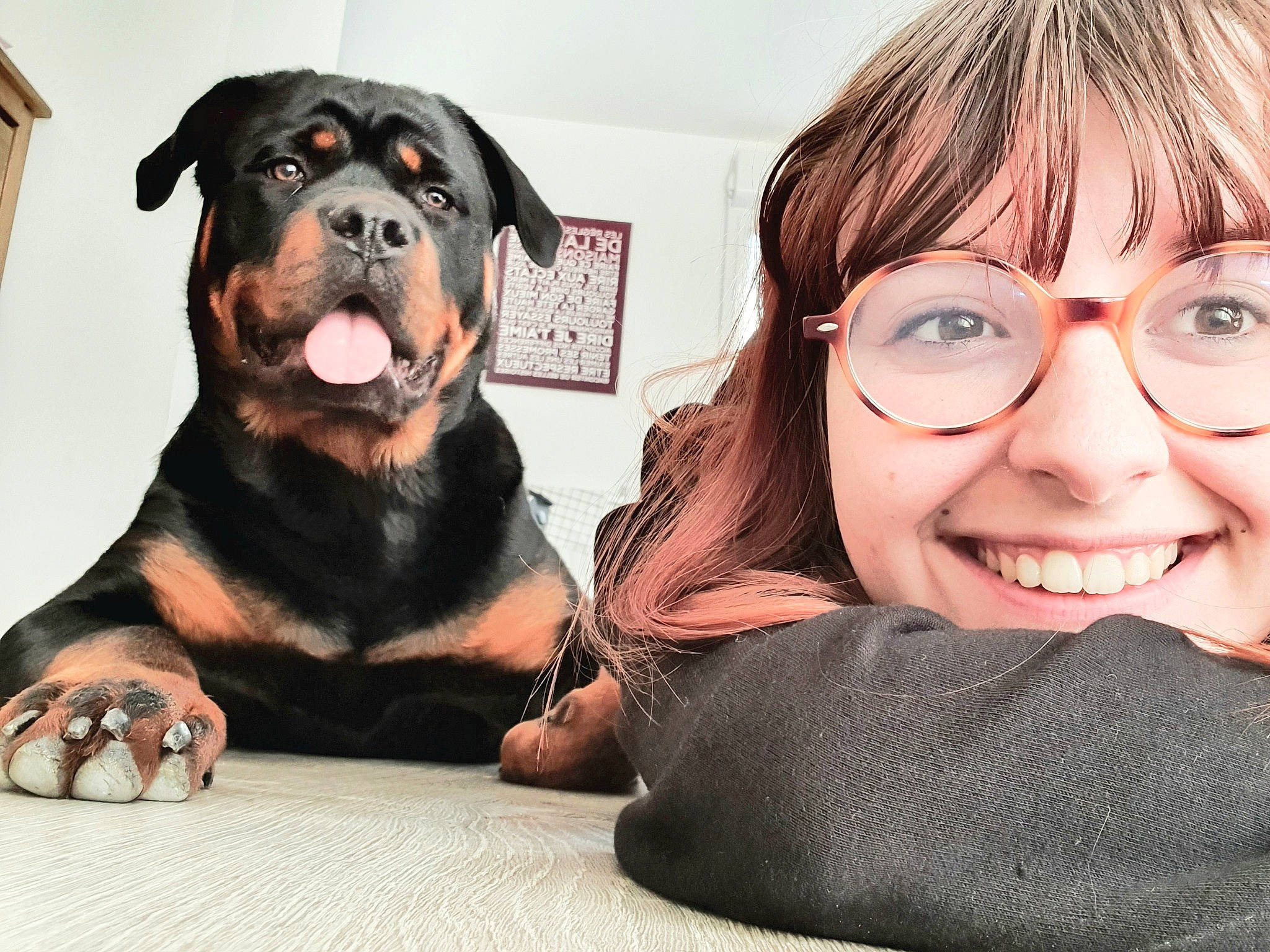Phalcon participe au concours pour gagner de l'argent avec cette photo : canidae, carnivore, companion_dog, dog, dog_breed, fawn, giant_dog_breed, guard_dog, mammal, molosser, puppy_love, rottweiler, vertebrate, working_dog