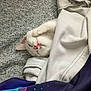 Olive Mae joined the competition — help win amazing prizes! kitten, white_cat, sleeping, blanket, cozy, paw, cute, pet, indoor, soft, fur, resting, animal, face, pink_nose, relaxing, comfort, closeup, domestic_cat, nap