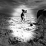animal, ball, beach, black_and_white, canine, cloudy_sky, daytime, dog, grass, grass_tufts, happy, landscape, nature, outdoor, pets, playful, running, sand, sky, two_dogs