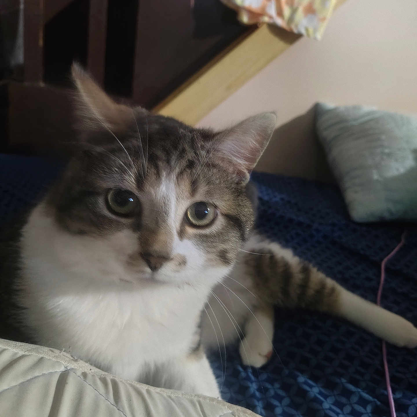 Thomas