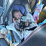 animal, baby, blanket, bottle, car_interior, car_seat, child, comfort, cute, dog, infant, nap, pet, puppy, resting, seat, soft_toy, toy, travel, unicorn_toy
