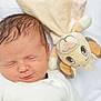Kayden participe au concours pour gagner de l'argent avec cette photo : newborn, baby, sleeping, white_blanket, plush_toy, lion_toy, cozy, knit_clothing, infant, peaceful, closeup, soft_texture, cute, child, portrait, resting, indoors, head, face, peaceful_expression