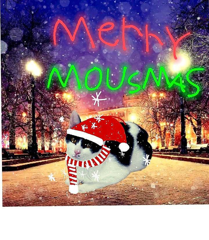 Mrs. Mickey Mouse is registered to the contest to win money with this photo: advertising, art, beauty, carmine, event, fictional_character, font, graphic_design, graphics, happy, holiday, light, midnight, organism, photo_caption, rectangle, snow, tree, winter, world