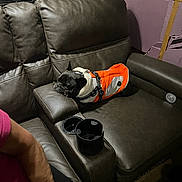 Bleu joined the competition — help win amazing prizes! dog, leather_couch, orange_jacket, sleeping, cup_holder, black_cup, person_arm, pink_shirt, indoor, dim_light, purple_wall, window, armrest, resting_pet, small_dog, cozy, furniture, relaxing, casual, home