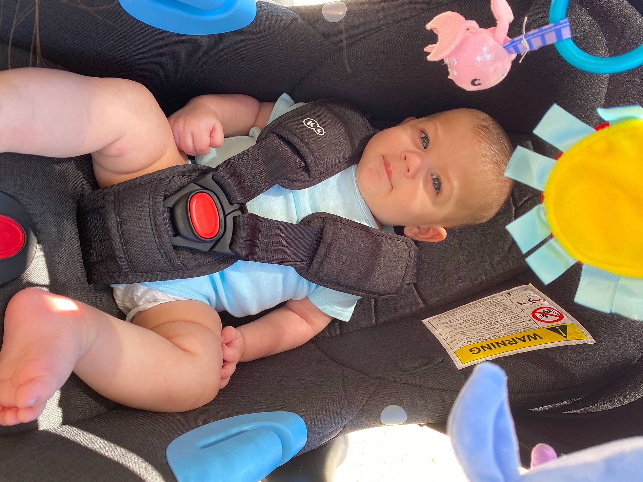 Liam a rejoint le concours — aidez-le/la à gagner de superbes lots ! arm, blue, child, comfort, electric_blue, finger, fun, hand, human_leg, mouth, muscle, nail, person, plastic, product, smile, thigh, thumb, toddler, toy