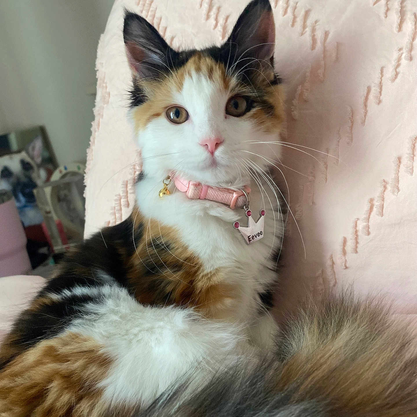 Eevee