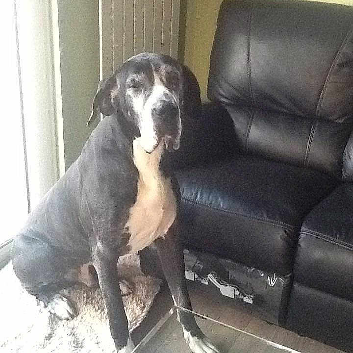 Sam