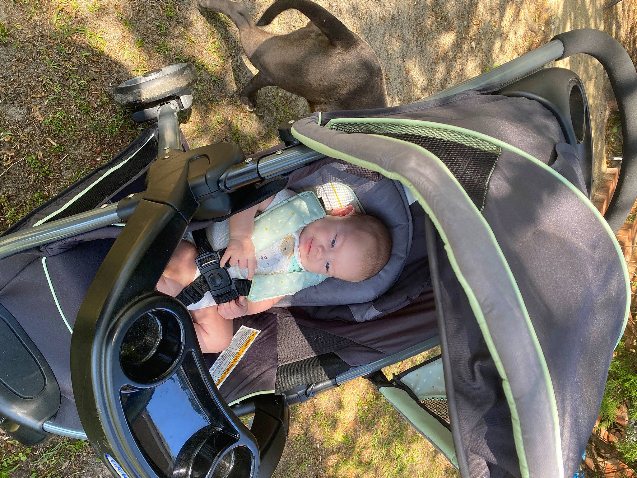 Braylen joined the competition — help win amazing prizes! auto_part, automotive_design, automotive_exterior, automotive_lighting, automotive_tire, automotive_wheel_system, baby, baby_carriage, baby_products, grass, mammal, motor_vehicle, person, personal_protective_equipment, plant, product, recreation, tire, toddler, vertebrate