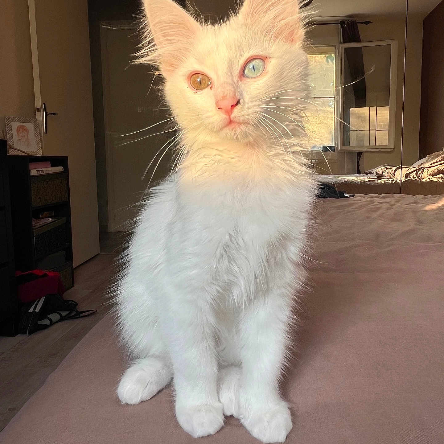 Tina
