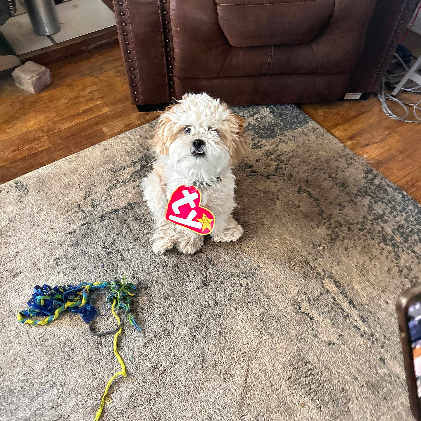 Koda