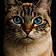 Nala