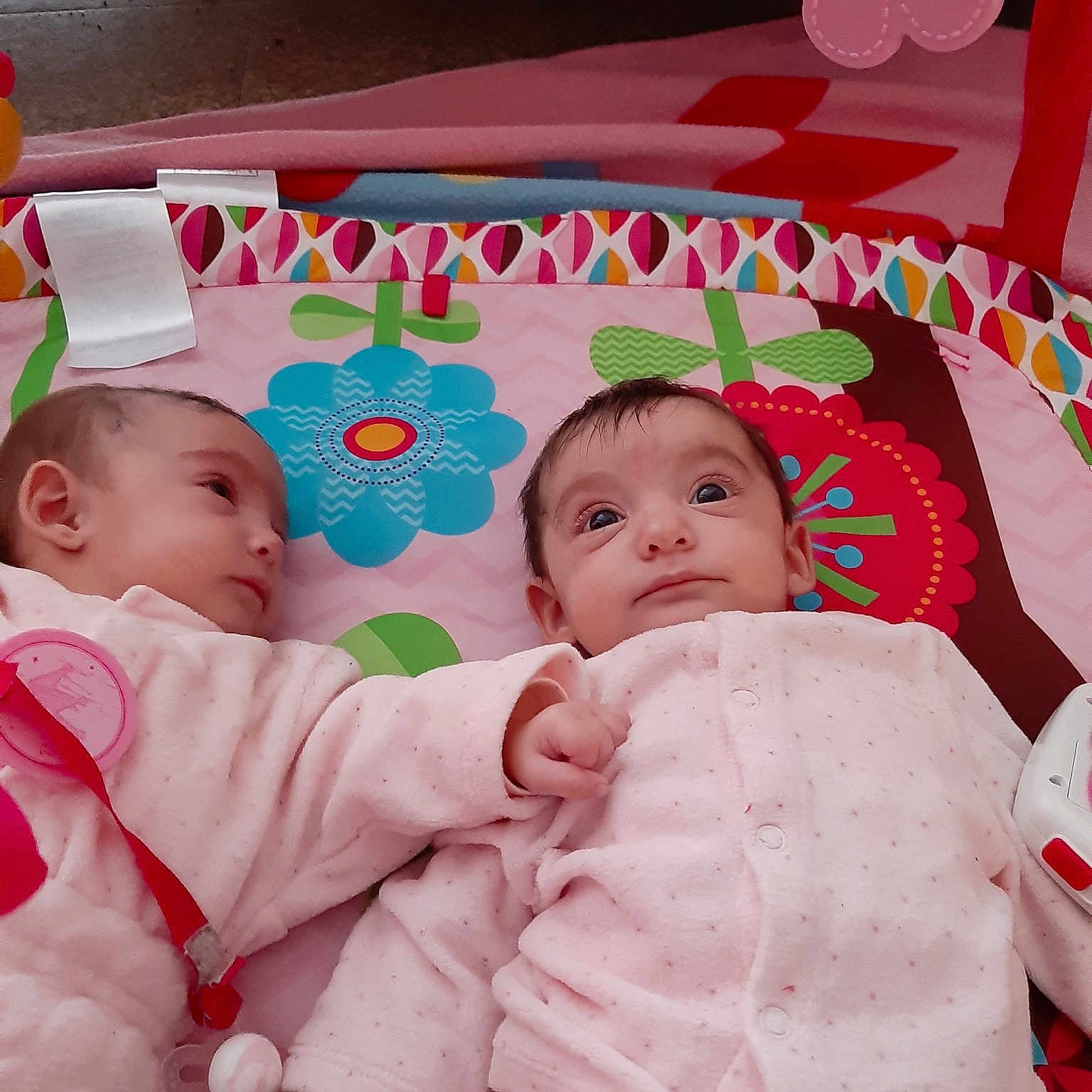 Victoria E Leonor