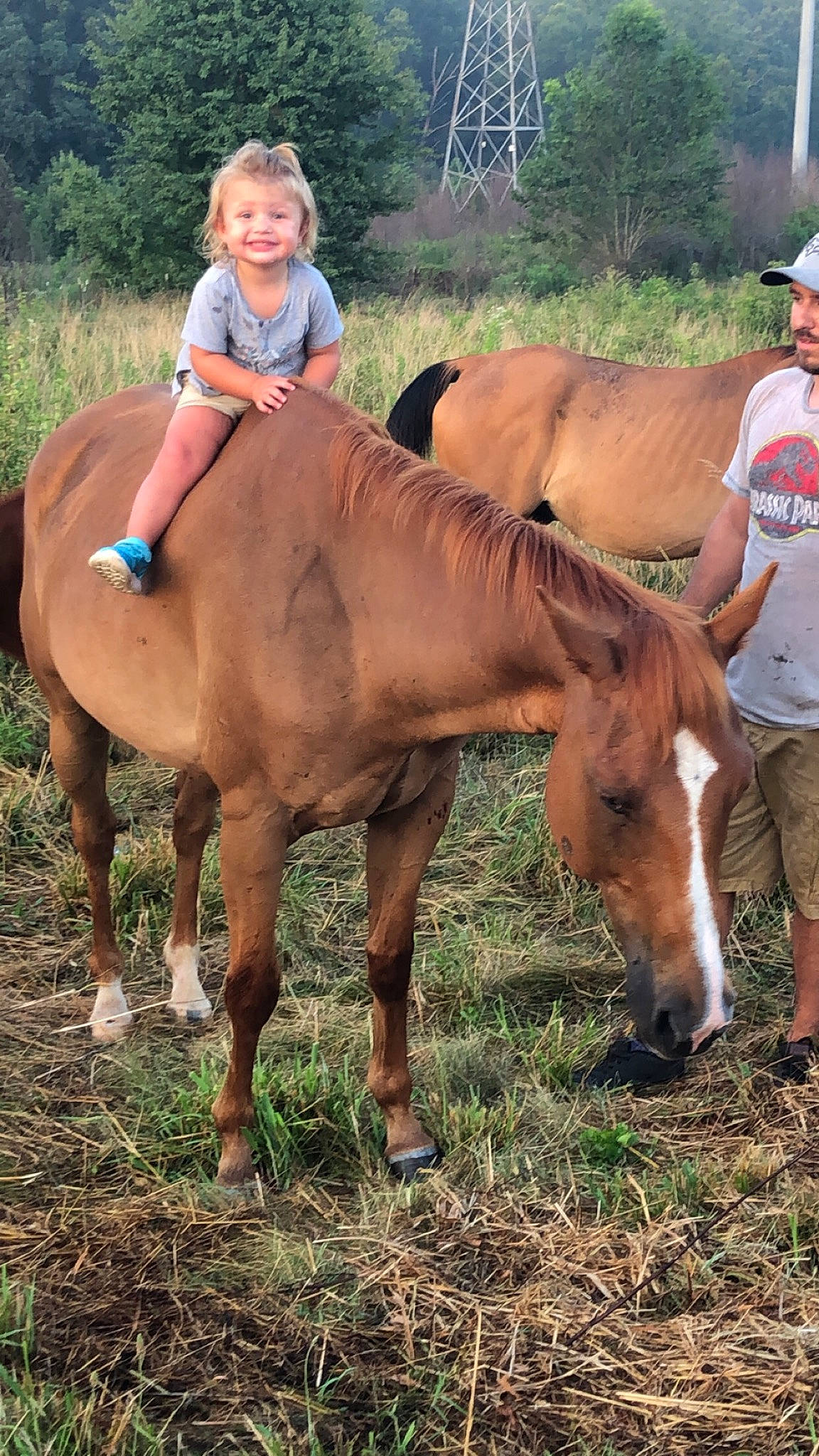 Carsyn is registered to the contest to win money with this photo: colt, farm, foal, horse, horse_supplies, horse_tack, joy, landscape, mammal, mane, mare, mustang_horse, pack_animal, person, ranch, recreation, riding_instructor, sorrel, stallion, steppe