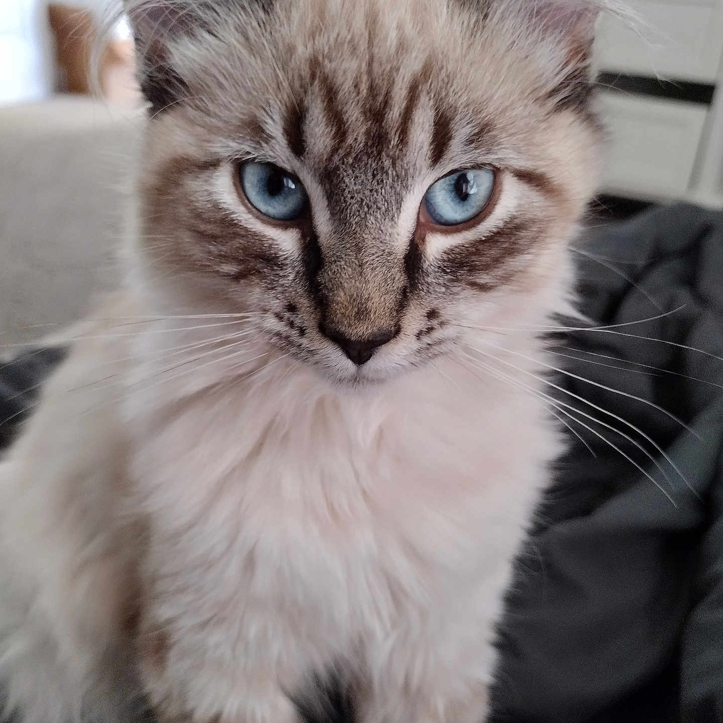 Sam