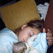 Aïna participe au concours pour gagner de l'argent avec cette photo : animal, baby, blanket, bodypart, cat, chair, couch, cushion, face, finger, furniture, hand, head, homedecor, kitten, person, pet, photography, portrait, sleeping