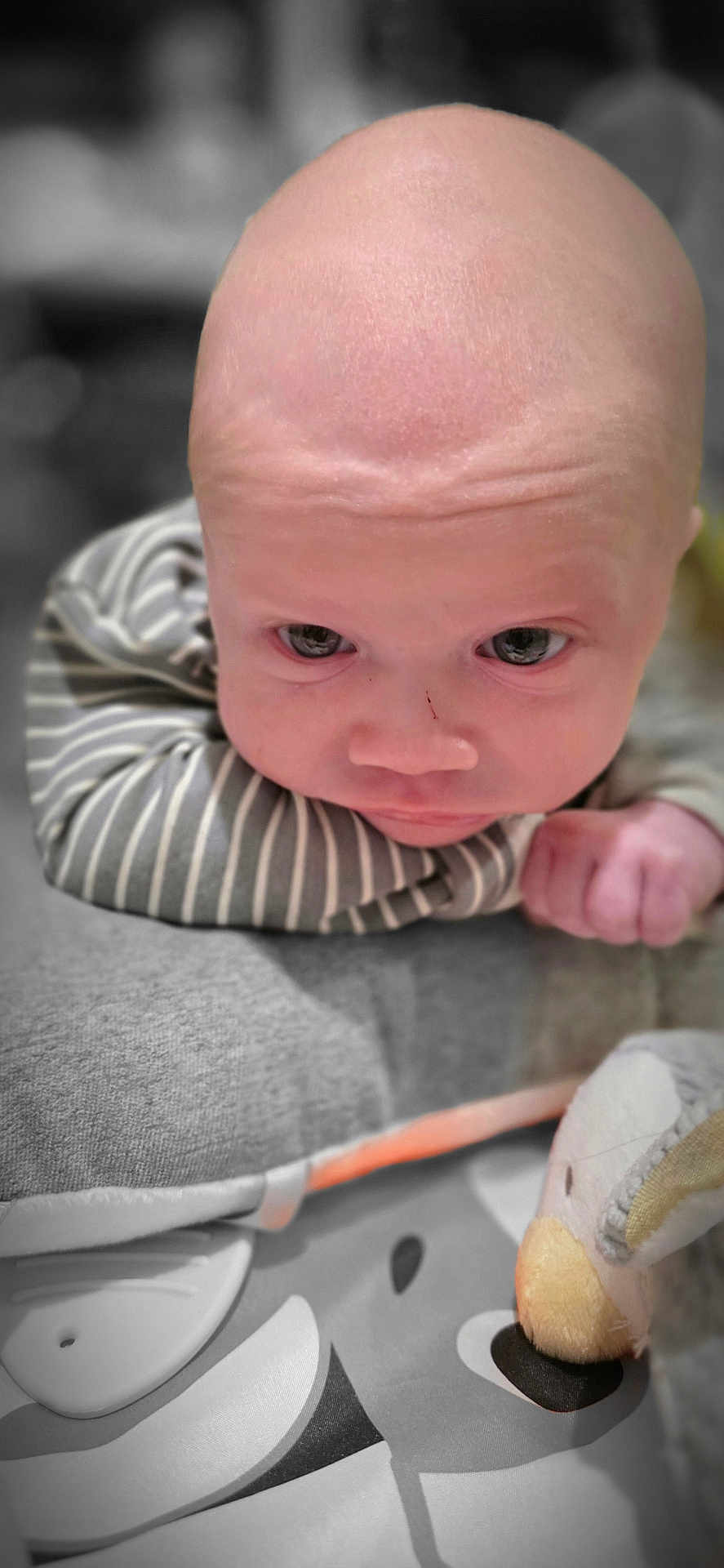 Archie joined the competition — help win amazing prizes! baby, infant, close_up, face, striped_clothing, plush_toy, duck_toy, soft_surface, resting, cute, child, young, portrait, indoors, expression, wide_eyes, skin, head, hand, newborn