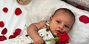 Elias joined the competition — help win amazing prizes! baby, infant, newborn, rose, red_rose, rose_petals, scattered_petals, bouquet, pillow, white_blanket, newspaper_backdrop, overalls, clothing, portrait, lying_down, hand_holding, gaze, studio_photography, love_theme, milestone_prop