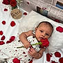 baby, infant, newborn, rose, red_rose, rose_petals, scattered_petals, bouquet, pillow, white_blanket, newspaper_backdrop, overalls, clothing, portrait, lying_down, hand_holding, gaze, studio_photography, love_theme, milestone_prop