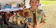 Rusty is registered to the contest to win money with this photo: boy, dog, scout_uniform, stroller, holiday_decorations, tent, outdoor, smiling, green_shorts, brown_hair, small_dog, leaves_on_ground, gatorade_bottle, badge, patches, toy, wood, table, nature, daylight