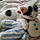 Liloo