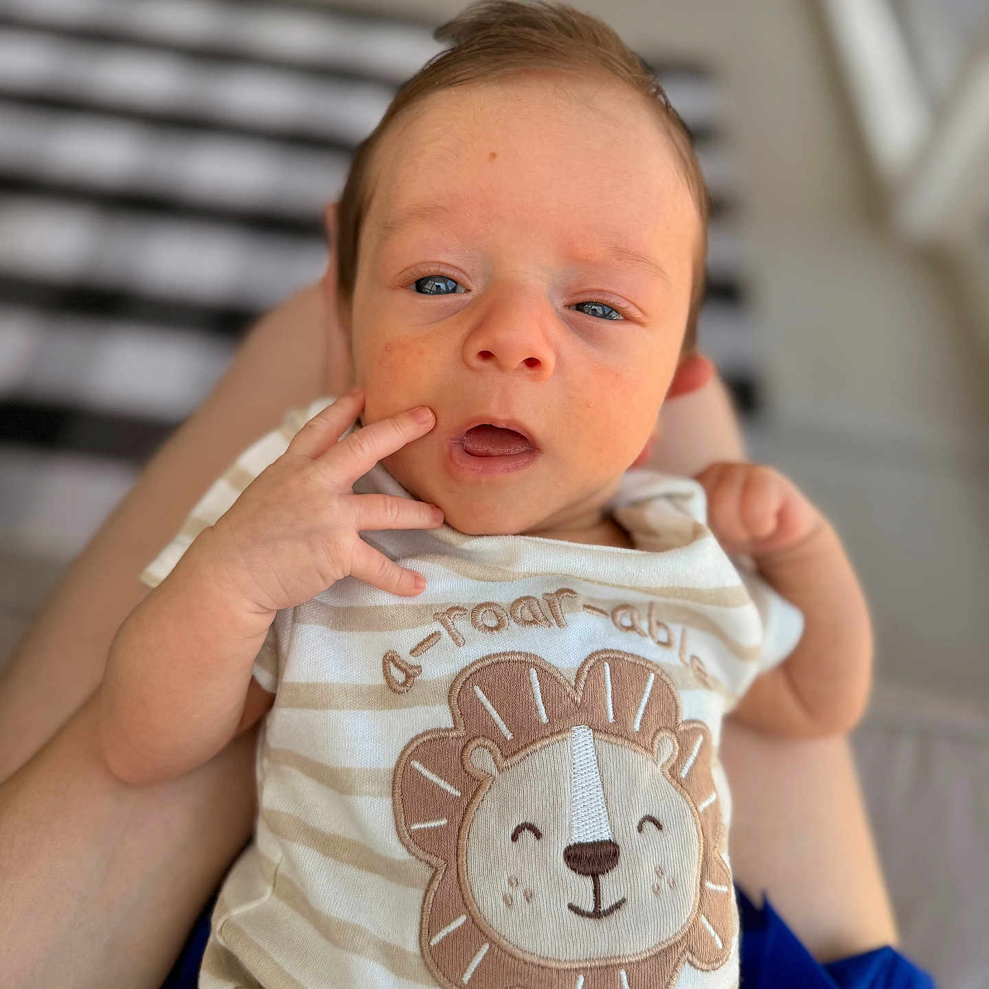 William joined the competition — help win amazing prizes! baby, infant, child, onesie, lion_graphic, striped_clothing, person, hand, face, blue_clothing, lap, blurred_background, cute, expression, portrait, skin, hair, indoors, closeup, newborn