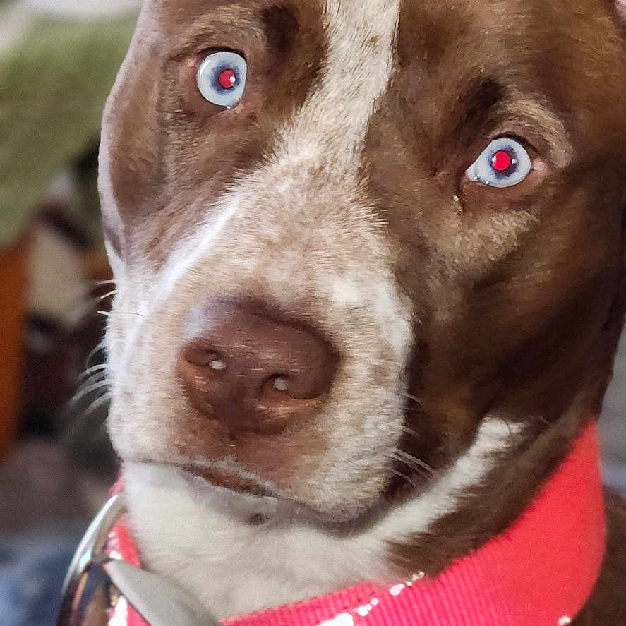 Jillian