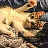 Buffy is registered to the contest to win money with this photo: