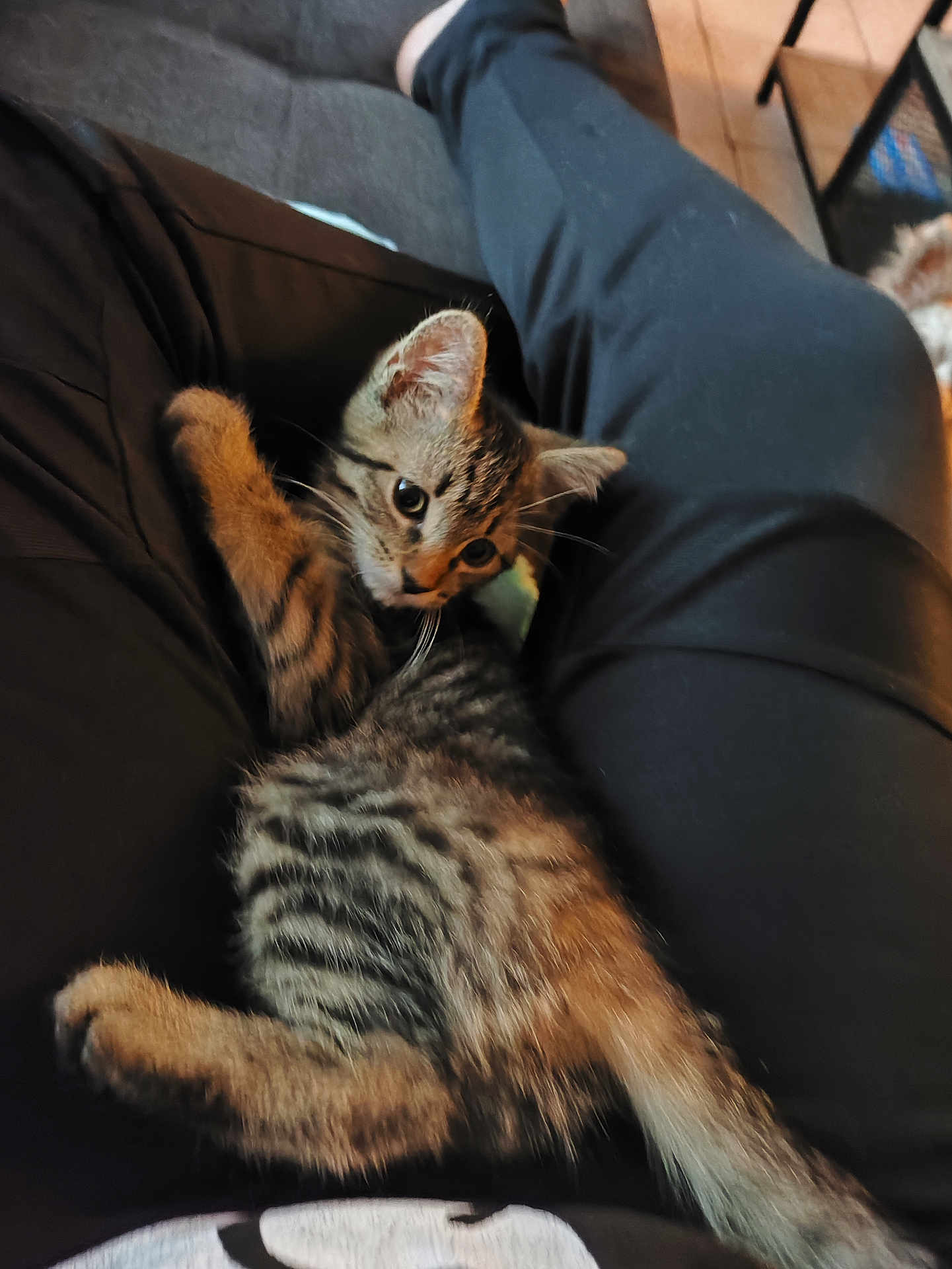 Lola