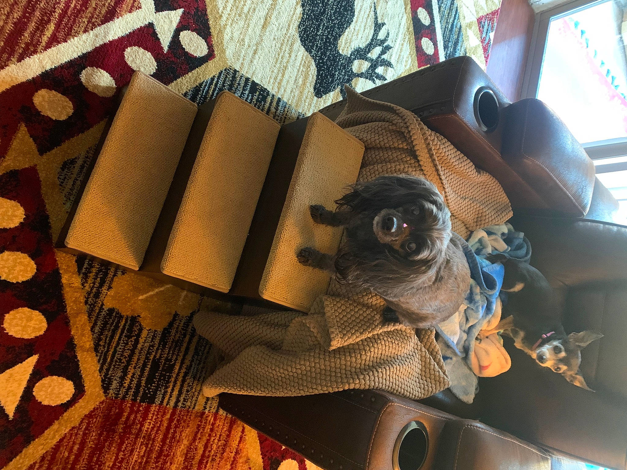 Ladybug is registered to the contest to win money with this photo: art, auto_part, brown, camera_lens, eyewear, fashion_accessory, fawn, glasses, goggles, hat, metal, pattern, personal_protective_equipment, rectangle, room, sunglasses, textile, tints_and_shades, window, wood