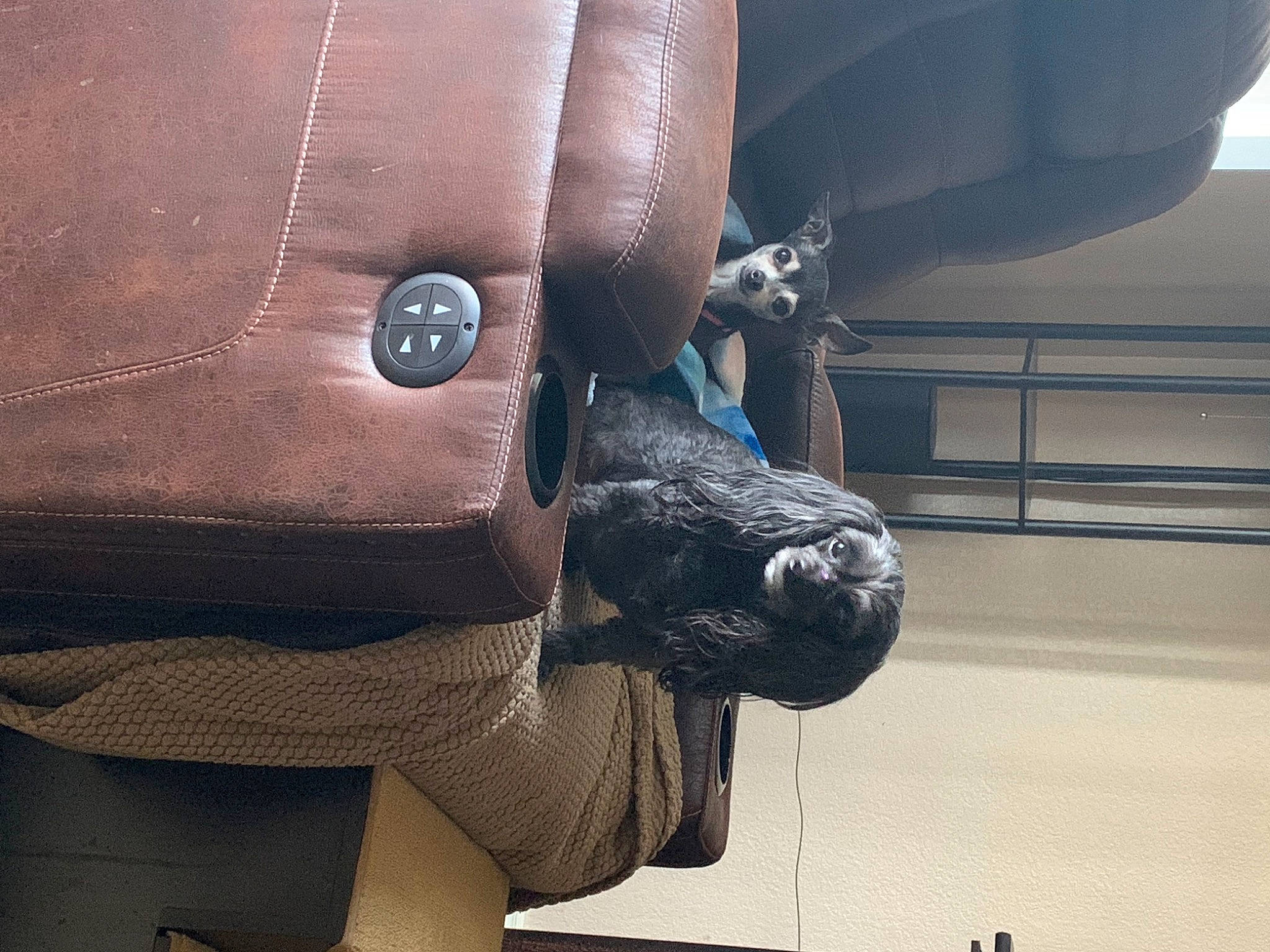 Ladybug is registered to the contest to win money with this photo: arm, art, auto_part, automotive_exterior, automotive_tire, automotive_wheel_system, bumper, door_handle, finger, gesture, grey, human_body, human_leg, metal, motor_vehicle, sculpture, snout, thumb, tire, vehicle_door