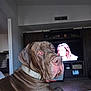 Marty Mcfly joined the competition — help win amazing prizes! dog, brown_dog, pet, indoor, living_room, television, furniture, floor, collar, canine, face, ears, expression, home, domestic_animal, looking_back, tile_floor, large_dog, resting, animal