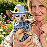 woman, dog, chihuahua, hat, denim_vest, flower, garden, outdoor, tongue_out, pet, cute, smile, holding, sunflower, nature, portrait, happy, floral_dress, senior, colorful