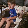 Thor is registered to the contest to win money with this photo: boy, child, dog, puppy, white_dog, pet, friendship, portrait, sitting, armchair, leather_chair, indoors, living_room, blue_shirt, shorts, brown_hair, face, looking_at_camera, family, text_overlay