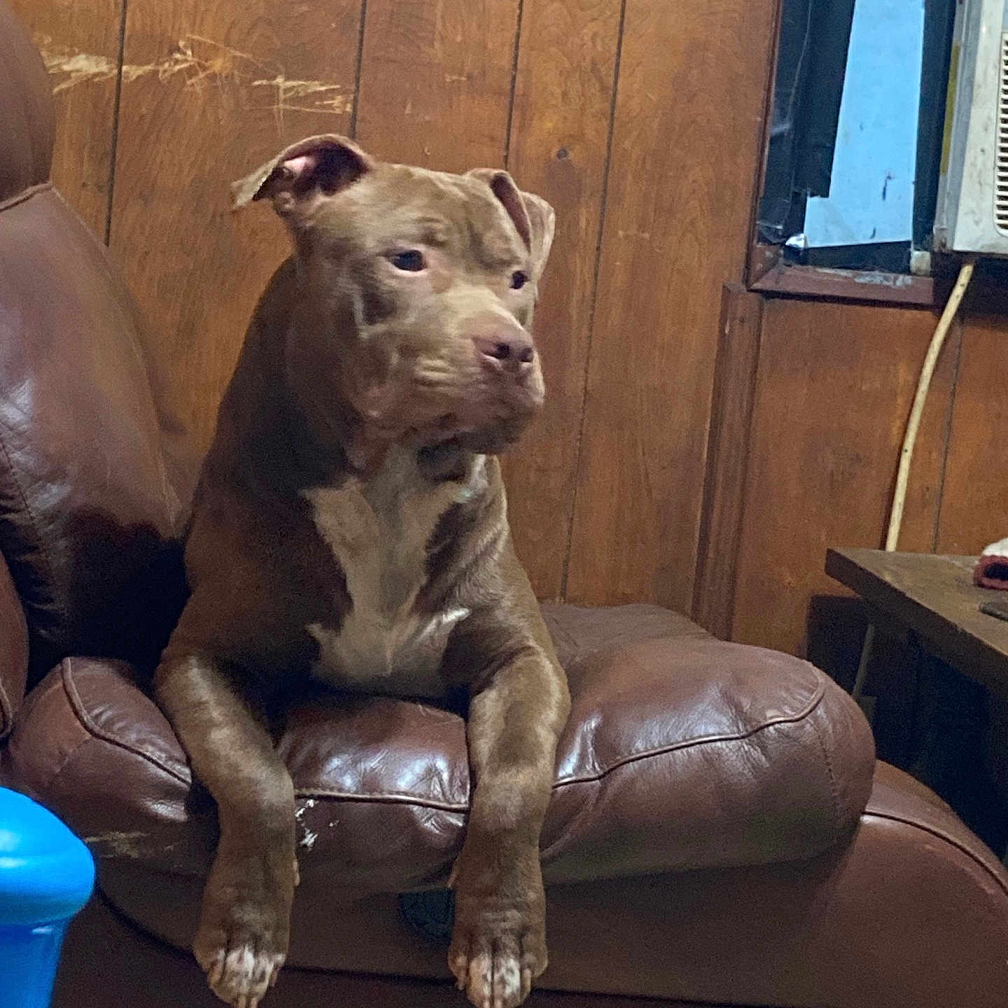 Fat Boy