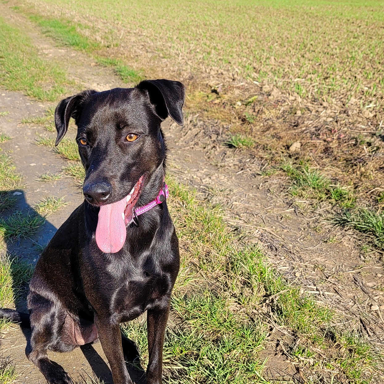 Pepa