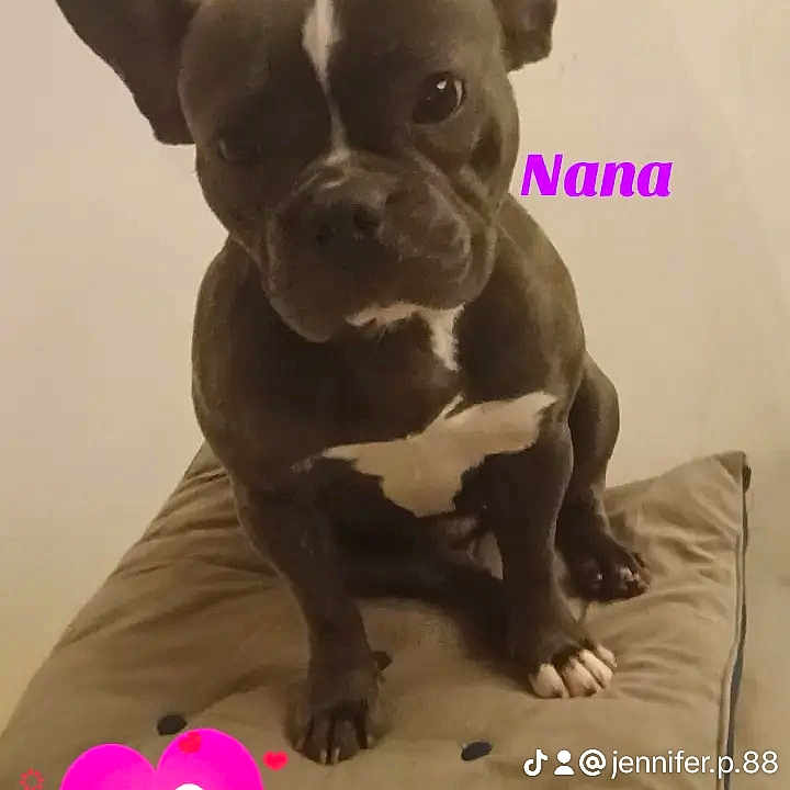 Nana