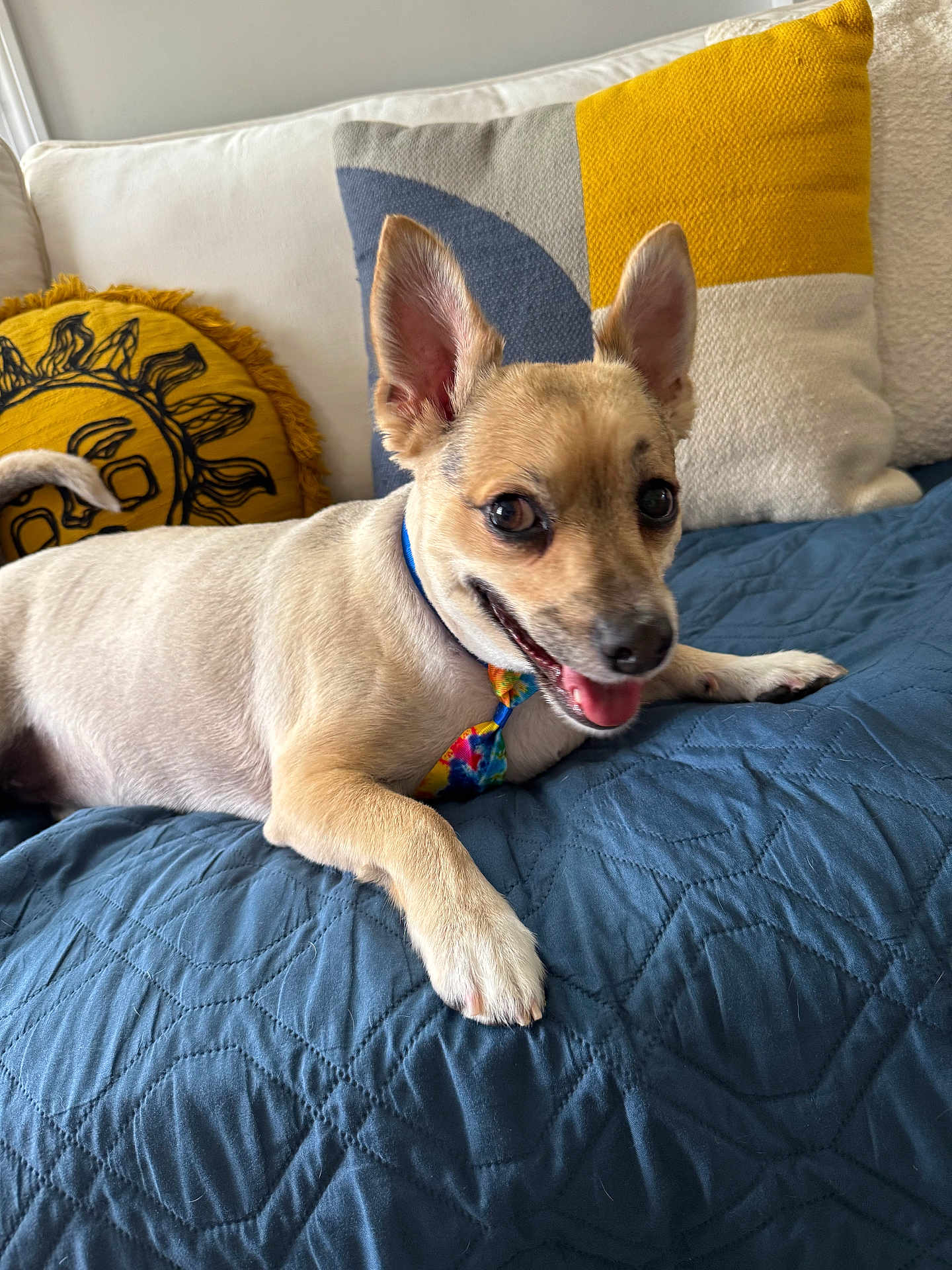 Chico