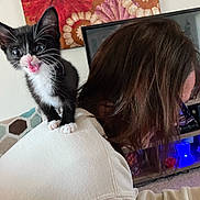 Kitty Moo is registered to the contest to win money with this photo: kitten, cat, black_and_white, person, shoulder, indoor, wall_art, floral, curious, licking_lips, hair, clothing, couch, television, electronics, home, cute, pet, feline, playing