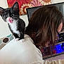 kitten, cat, black_and_white, person, shoulder, indoor, wall_art, floral, curious, licking_lips, hair, clothing, couch, television, electronics, home, cute, pet, feline, playing