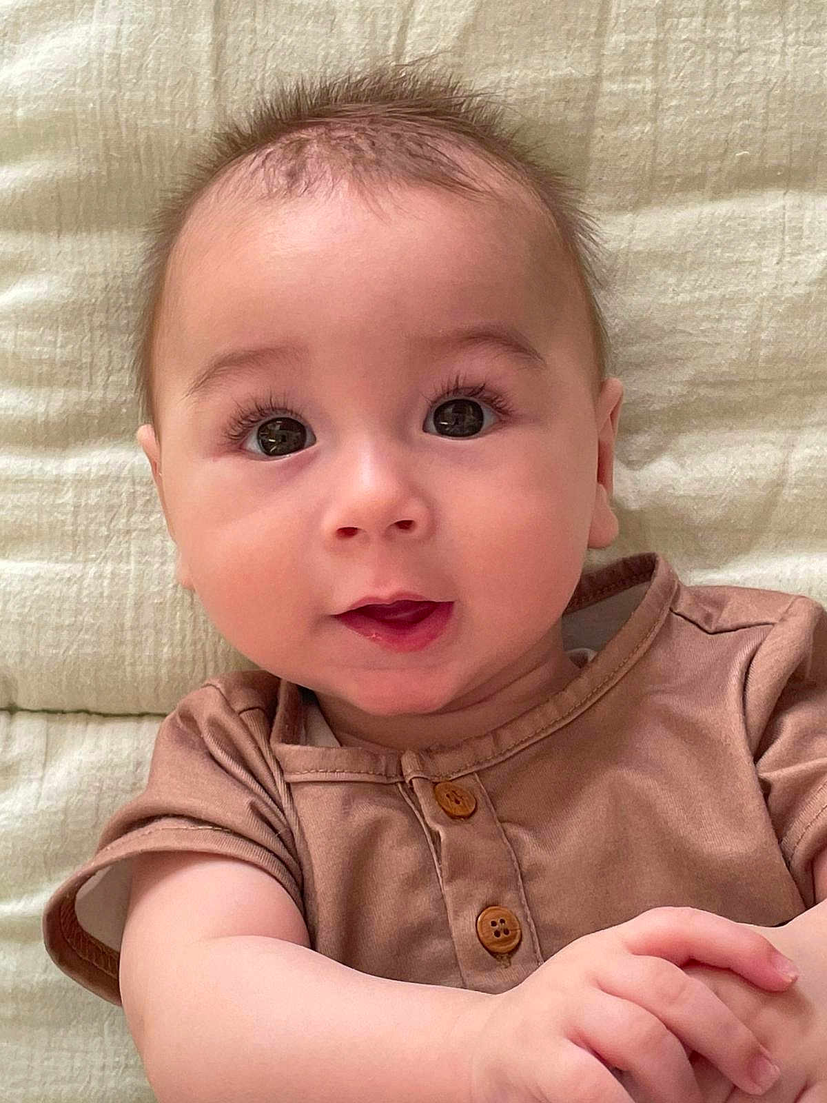 Logan