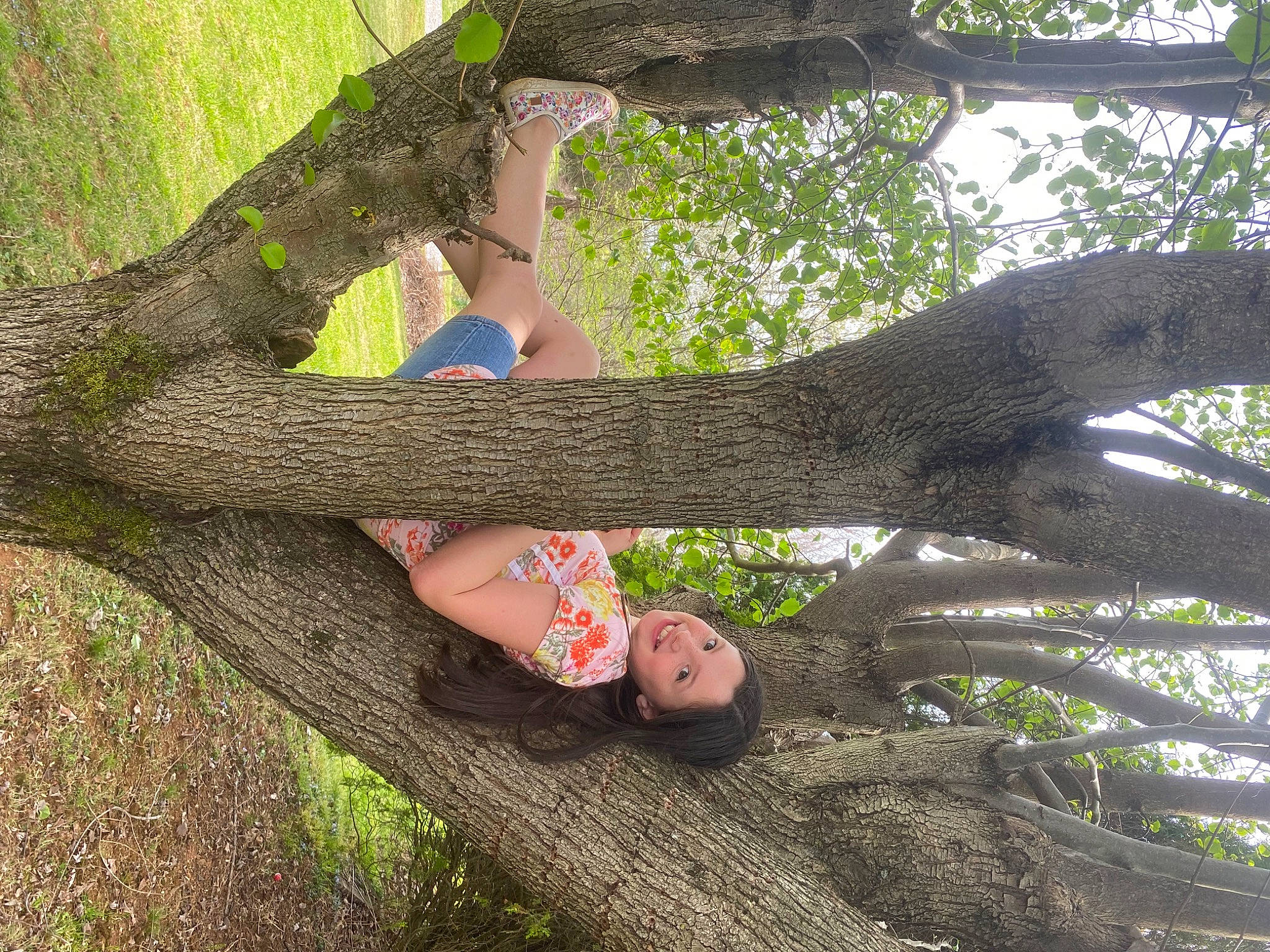 Aubree is registered to the contest to win money with this photo: branch, finger, foot, grass, happy, human_body, human_leg, joy, knee, people_in_nature, person, plant, smile, terrestrial_plant, thigh, thumb, tree, trunk, twig, wood
