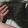 Loki is registered to the contest to win money with this photo: accessories, animal, baby, bed, blackcat, blanket, bodypart, cat, finger, furniture, hand, jewelry, kitten, manx, massage, person, pet, ring, sleeping, wrist