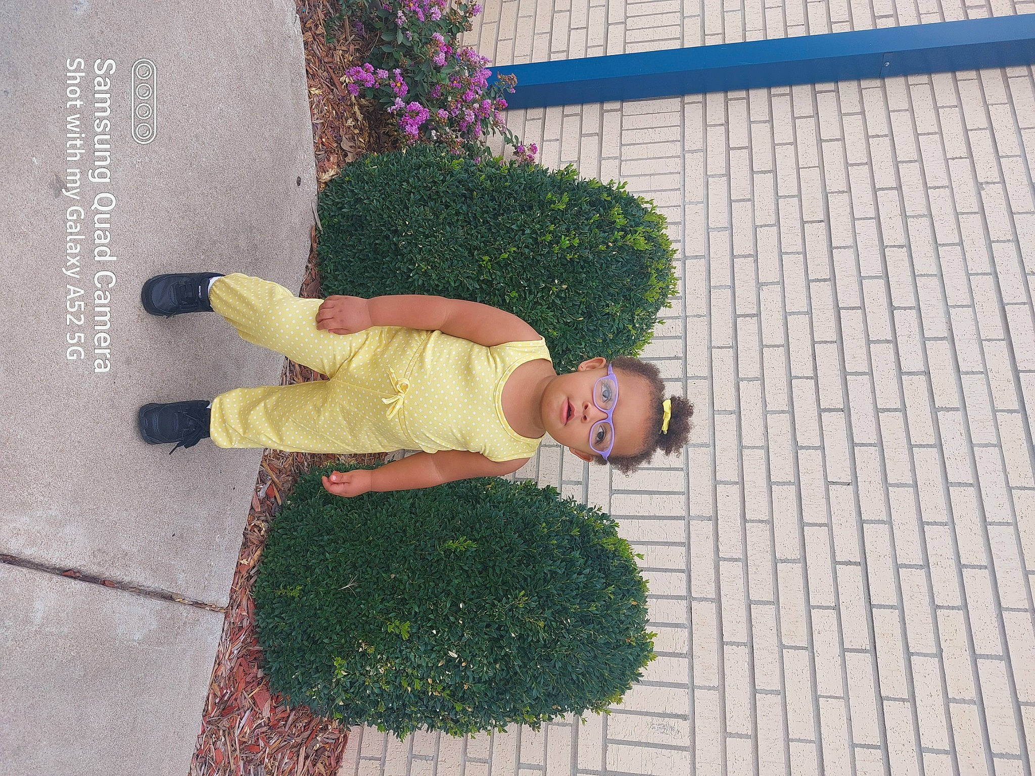 Mariana is registered to the contest to win money with this photo: asphalt, child, concrete, curb, flooring, fun, garden, grass, groundcover, leisure, line, pattern, people_in_nature, person, plant, road_surface, shadow, shrub, sidewalk, walkway
