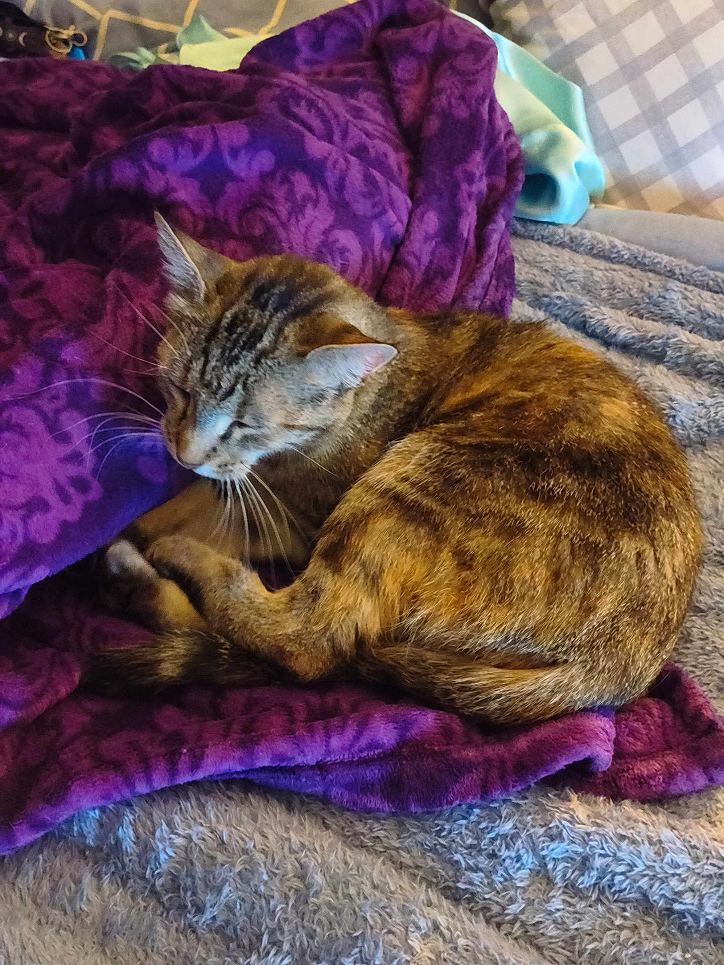 Ruby
