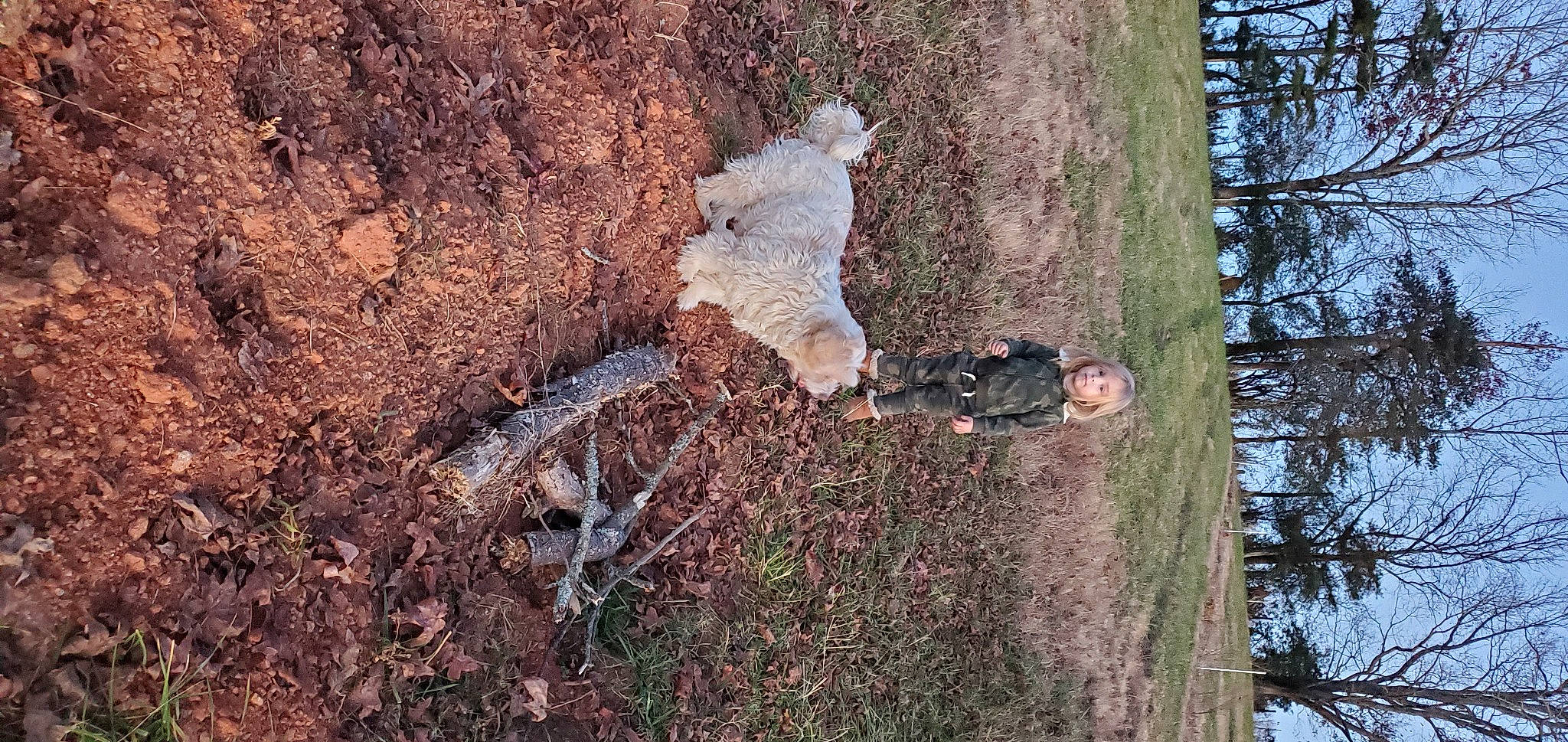 Nala joined the competition — help win amazing prizes! bedrock, biome, birch_family, forest, grass, landscape, northern_hardwood_forest, people_in_nature, plant, rock, shrub, sky, soil, toy, tree, trunk, twig, wood, woodland