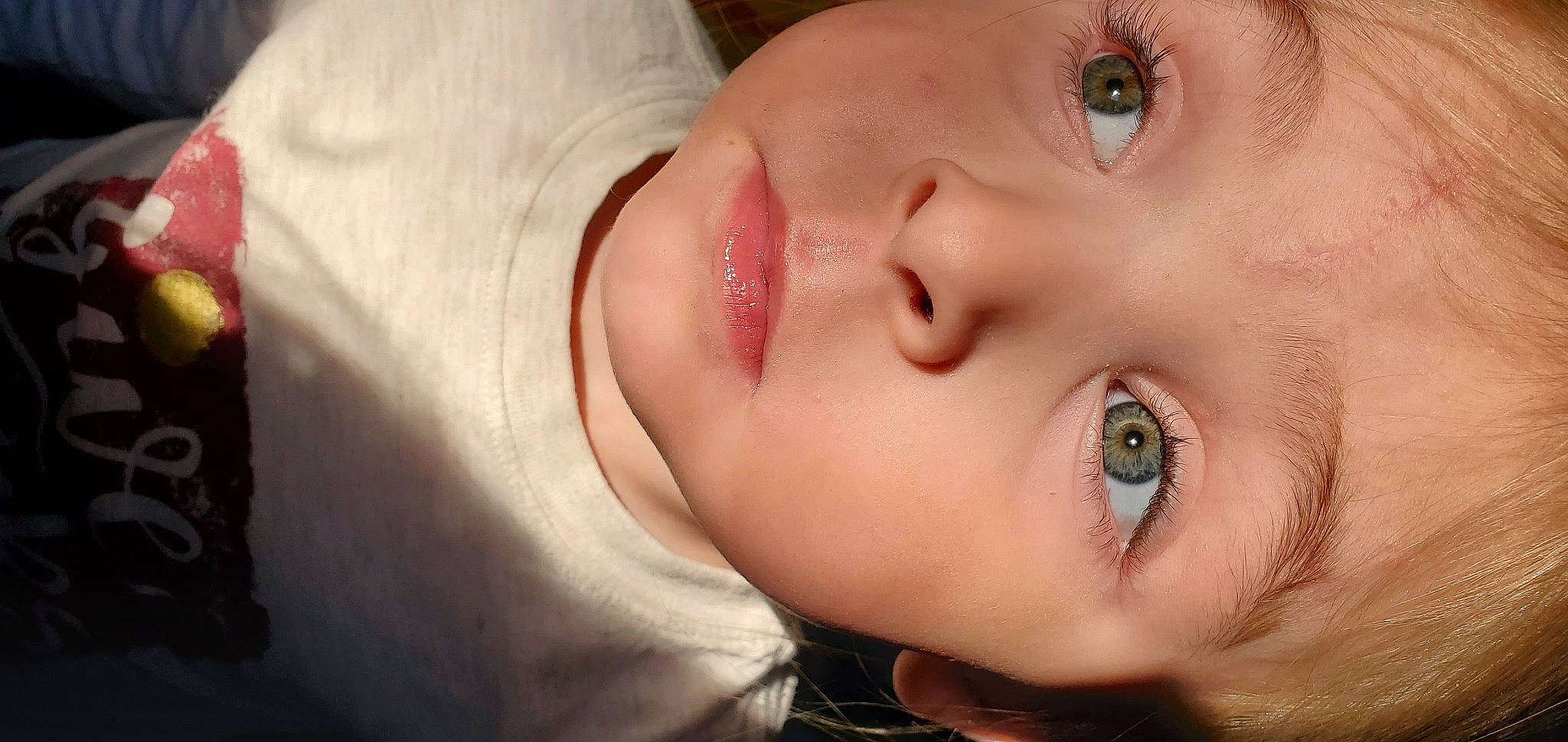 Raven joined the competition — help win amazing prizes! cheek, chin, ear, eye, eyebrow, eyelash, face, flash_photography, forehead, happy, head, iris, jaw, lip, mammal, mouth, neck, nose, person, plant