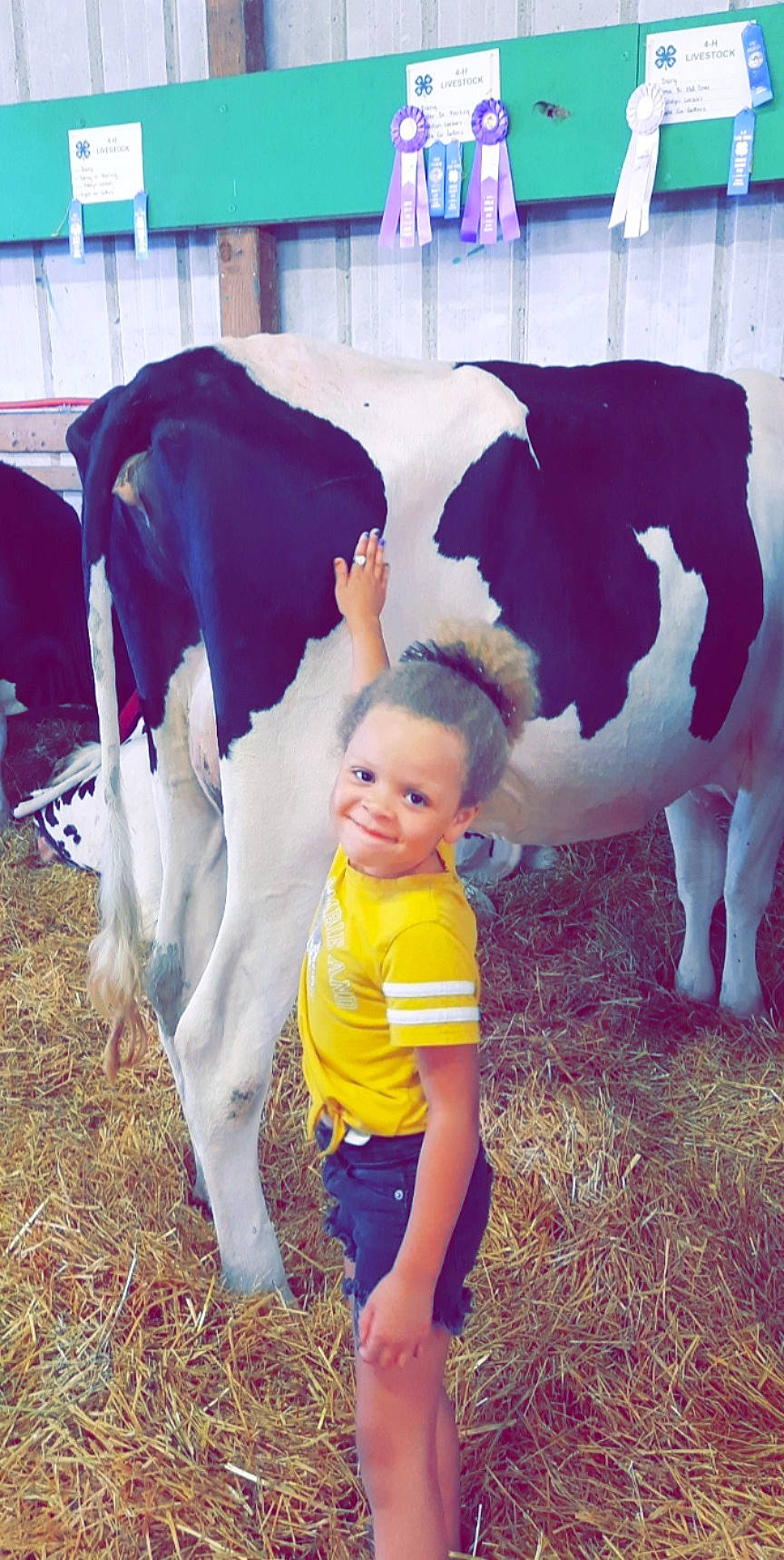 Norah joined the competition — help win amazing prizes! dairy_cow, eye, grass, grassland, green, happy, human_leg, joy, landscape, light, livestock, mammal, person, photograph, rural_area, sky, snapshot, snout, toddler, vertebrate