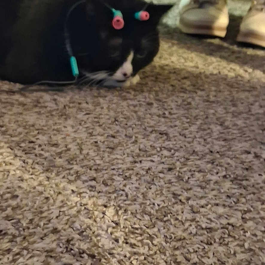 Milo